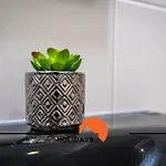 #296 Da Rocha Life Lejlighed Portimão